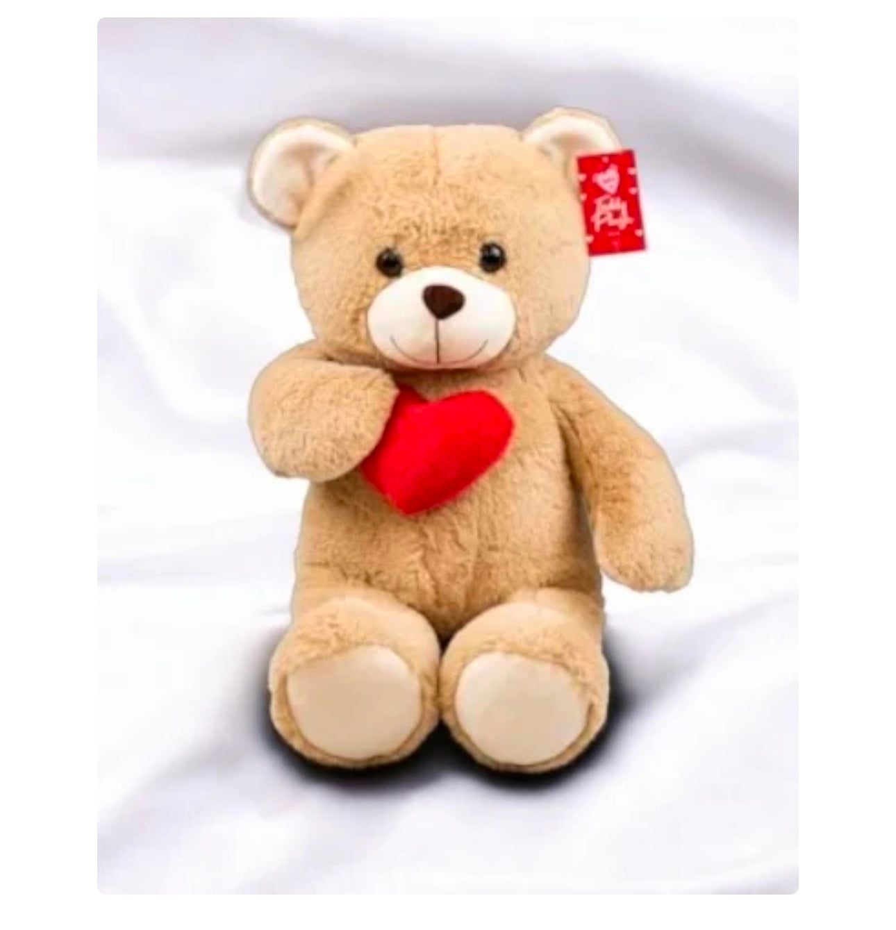 Valentines heart teddy