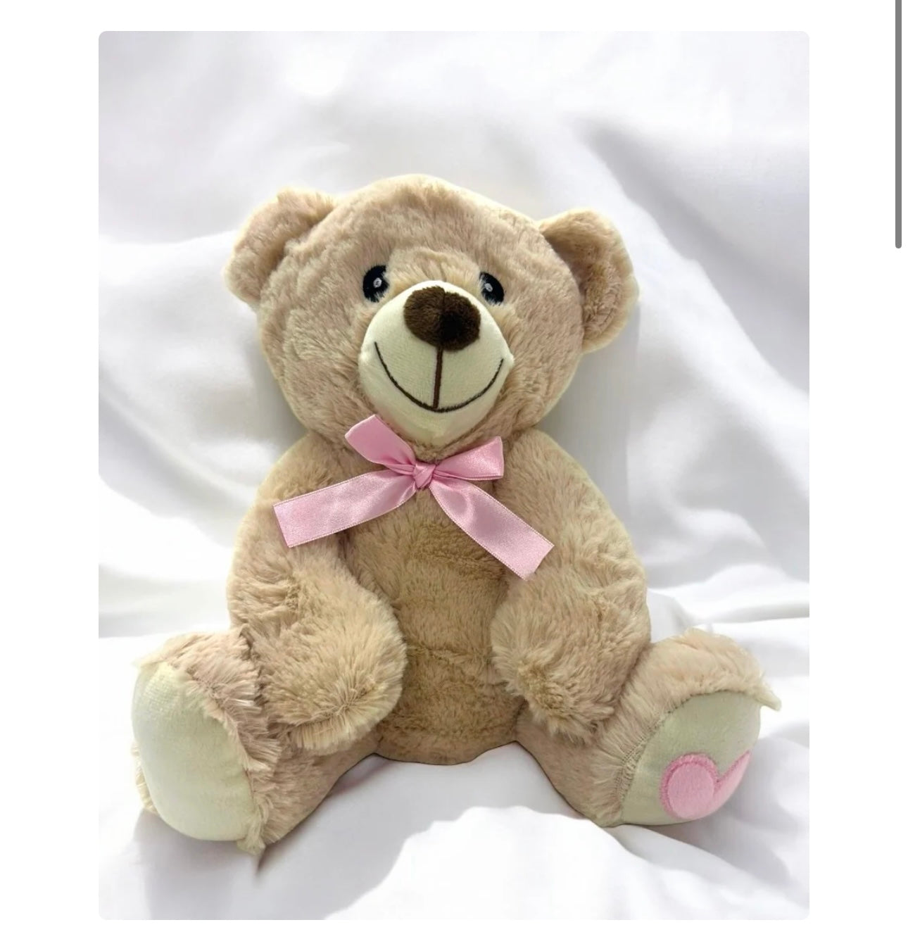 Valentine’s Day teddy